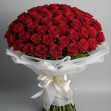 Букет 101 Красная роза Блэк Мэджик в Спутник