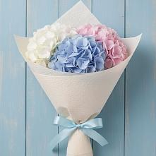 Букет цветов из:  Гортензия #REPLACE_PRED# Спутник
