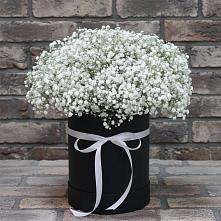 Цветочная композиция из Гипсофила в шляпной коробке в Спутник