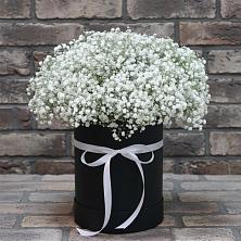 Цветочная композиция из Гипсофила в шляпной коробке в Спутник
