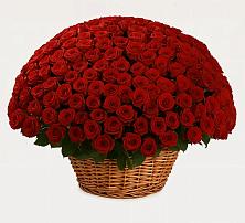 Премиум букет из: Розы в Спутник