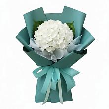 Букет цветов из:  Гортензия в Спутник